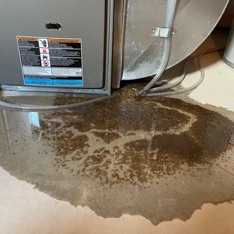 Appliance Leak Cleanup in Lincoln Park, MI